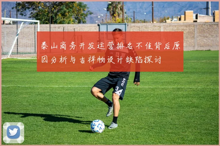 泰山商务开发运营排名不佳背后原因分析与吉祥物设计缺陷探讨