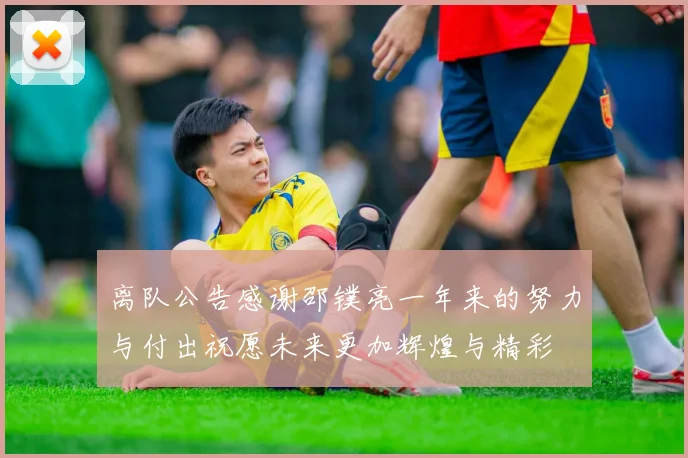 离队公告感谢邵镤亮一年来的努力与付出祝愿未来更加辉煌与精彩